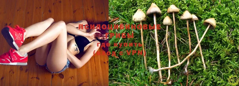 Галлюциногенные грибы Psilocybine cubensis  blacksprut как войти  Семилуки 